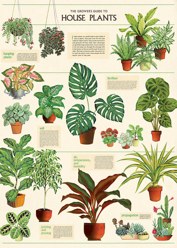 Cavallini Poster/Gift Wrap - House Plant