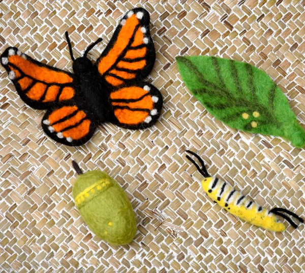 Felt Lifecycle of Monarch Butterfly (Pre-Order end of May)