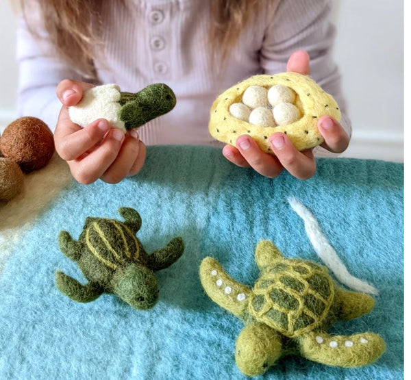 Felt Lifecycle of Green Sea Turtle (Pre-Order end of May)